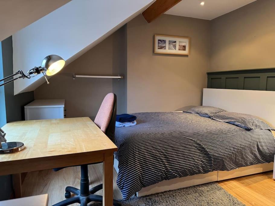 Stylish, Spacious And Central 4 Bedroom House Belfast Exterior foto